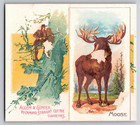 Allen   Ginter Cigarettes Tobacco Victorian Trade Card Moose Hunter