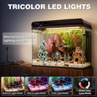 20 Gallon Glass Fish Tank  Aquarium Starter Kit  Simple Self-cleaning Aquarium W
