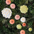 Bordallo Pinheiro Maria Flor Dahlia Dessert And Salad Plates  Set Of 2