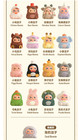 Pucky Animal Beanies Series Blind Box Figure Toy Gift  Confirmed  Hot