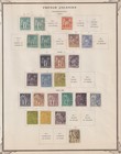 French Colonies - Mint And Used Collection On Pages - Dr  Schultz Estate - Q177