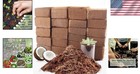 Bulk 24 Pack Coco Coir Bricks Natural Organic Plant Growing Medium 55 2 Gal