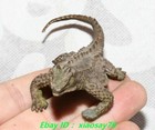 5 5  old Chinese Bronze Animal Lizard  Lacertid Lacertilian Statue Sculpture