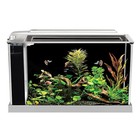 Fluval Spec 5g Aquarium Kit  Aquarium With Led Lighting And 3-stage Filtration