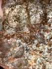 Lot D Over 14 Lbs Large Size Lavic Jasper Brecciated Agatized Dendritic Rough