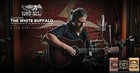 Ernie Ball Acoustic Guitar Strings Earthwood 80 20 Bronze Choose 1 Set