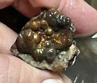 1 4 Pound Fire Agate Choice   Mid Grade Professionally Chosen Colorful Rough Lot