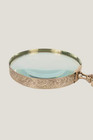 Vintage Brass Magnifying Glass With Horn Handle