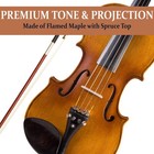 Violin Full Size 4 4 Solidwood Ebony Hard Case Shoulder Rest Cecilio Fitted