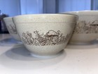 Vintage Pyrex Forest Fancies Mushroom Nesting Bowls Set Of 3   403-402-401