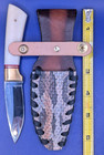 Genuine Canebrake timber Rattlesnake Skin Sheath With Bone Handle Knife  101
