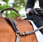 Correct Connect 3-point Breastplate With Neck Strap