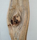 Driftwood Slab With Nice Knot Working Or Decor Piece
