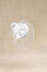 Fascinator Hat Veil Feather Fascinators Hair Clip Tea Party Pillbox Derby Hat