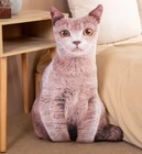 Cute Cat 19  Printed Pillow Stuffed Animal Plush Toys Toddler Doll Kids Gifts
