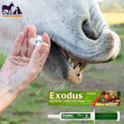 Exodus Horse Paste With The German Minty Muffin Free Treats