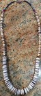 Native American Wampum Shell Necklace  Graduated Heishi  Ss Spiny Oyster Clasp