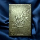 France Medal    patrie        Helmeted Marianne     A b  Signed     Silvered Bronze