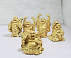 Golden Feng Shui Laughing Buddha Figures   Statue Luck Gold Plaster  set Of 5  