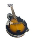 Zenison F-style Mandolin Sunburst  8 String Acoustic Mandolin With Strings
