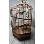 Antique 1930s Asian Bamboo Bird Cage W realistic Feathered Bird Intricate Ornate