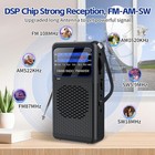 Portable Am Fm Radio Compact Transistor Radio Pocket Radio Silver Nys New  