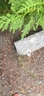 Reclaimed Granite Rock  Curb Bulk Or By Piece Local Pickup Only Ri