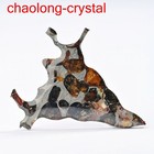 23ct Brenham Olive Meteorite Pendant Olive Meteorite Slice Dg0556