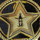 Houston Livestock Show Rodeo Pin Badge 2018