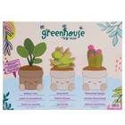 Potted Plant Plush Set - Greenhouse By Russ Potted Plant  Succulent   Cactus New