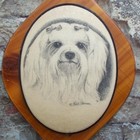 Vintage Maltese Dog Wood Plaque Earl Sherman Sugared Finish