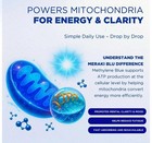 Meraki Blue     Cognitive And Cellular Support - Brand New In Box