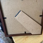 Real Alpine Black Swallowtail Butterfly Specimen Wood Frame Decor 14cm
