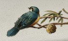 Bird On Branch Victorian Die Cut Scrap - L2
