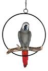 Hanging Congo African Grey Parrot Perching On Branch With Metal Ring 13 5  H