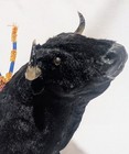 Vintage Souvenir Spanish Bull Fighting Plastic Faux Fur Made In Spain 17  By 10 