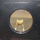      1 17g Caborca Mexico Vaultbox Gold Nugget  Ngc Certified  Gold Is Way Up           