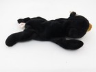 Ty Beanie Baby Blackie Black Bear Rare Tag Errors Retired Pvc Pellets 7-15-1994