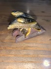 Y-bir-ea-st-559 Brown Tiger s Eye Eagle Eagles Birds Bird Stone Gemstone Carving