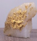 Gold Ore Specimen 10 7g Crystalline Gold Tellurides From Ontario 222 Host-white