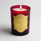 Saint Saint Raphael The Archangel Scented Candle With Prayer And Prayer Coin    