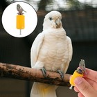  Bird Whistle Toy  Hand-twist Calls Fun And Educational Toddler Whistle Call For