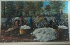 Vintage Memphis Tn Cotton Picking Time Linen Postcard Black Americana Unused