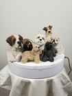 7-pce Vintage Dog Figurines Lot Living Stone Sandicast Stone Critters Castagna