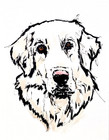 Original Acrylic 11x14 Dog Pet Portrait Canvas Signed Black White Wall Art