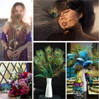 24pcs Peacock Feathers Long Natural In Bulk 32-35 Inch 80-90 Cm For Vase Craft V