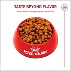 Royal Canin Breed Health Nutrition Yorkshire Terrier Adult Dry Dog Food  10 Lb