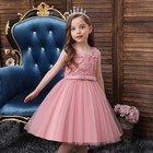 Flower Girls Kids Princess Tutu Dress Bridesmaid Wedding Party Pageant Ball Gown