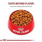 Royal Canin Breed Health Nutrition German Shepherd Adult Dry Dog Food  30 Lbs
