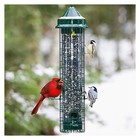 Brome Squirrel Buster Classic Squirrel Proof Wild Bird Feeder